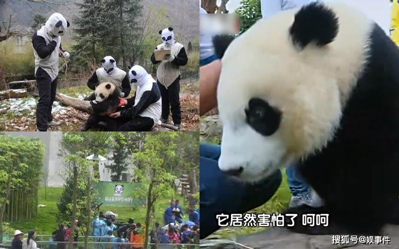 网红乱象折射出“秀才”“一笑倾城”乱象