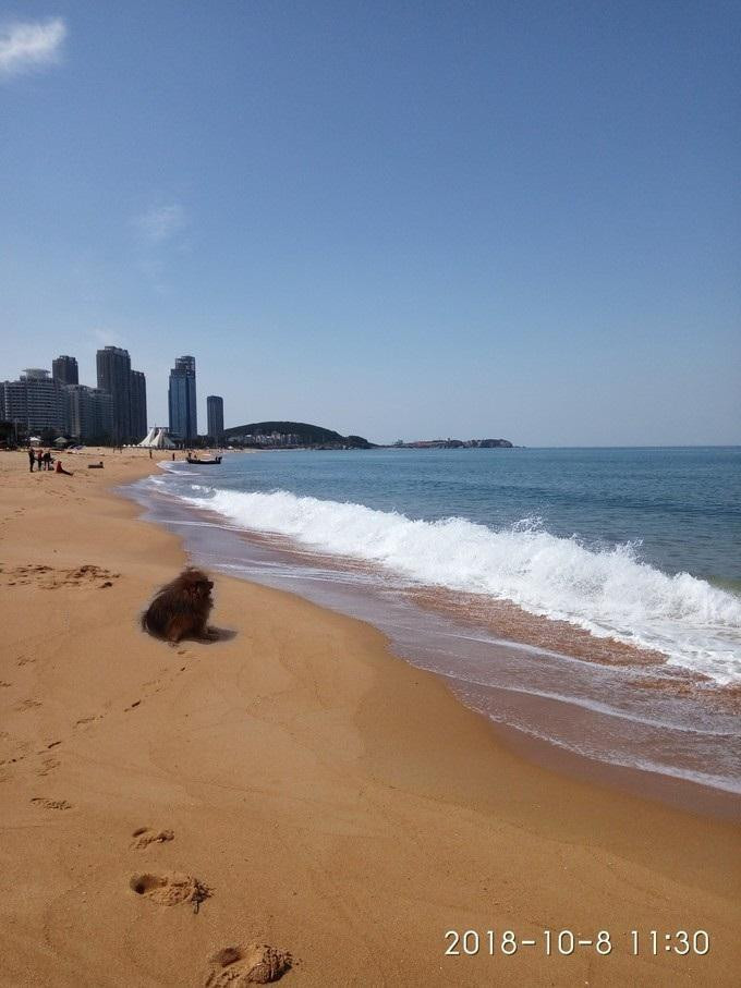 威海乐威海_威海_威海乳山银滩-威海游记