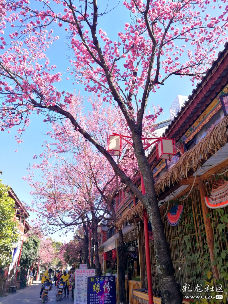 贵州安顺安顺一中_安顺_安顺天气