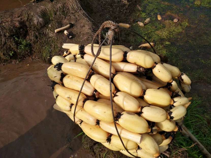 三边县那三个县_南宁六县分别是哪六县_宝应县