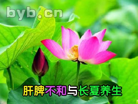 “上医防未病”的做法都在这里了(图2) 养生:_养生壶_养生: