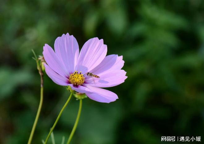 男人泡妞视频大全男人骗女人_男人：_男人头像