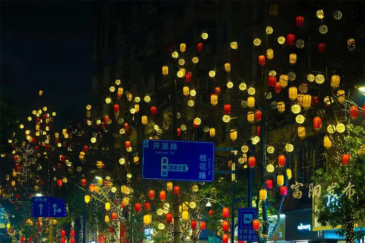 当招商变“招殇”，群众的血汗钱谁来担责？