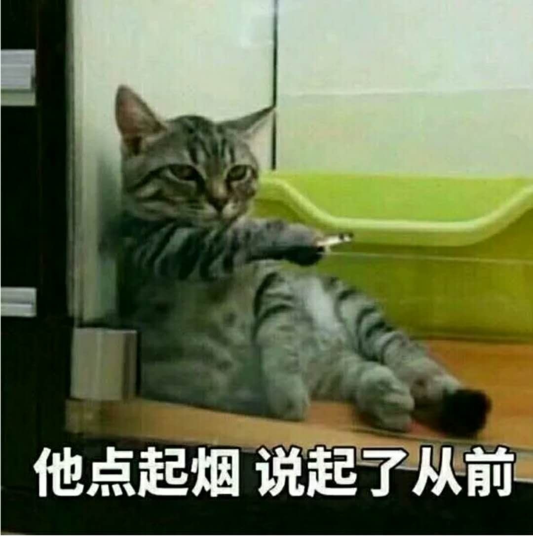 好猫香烟_香烟好猫多少钱一包_香烟好猫价格表和图片