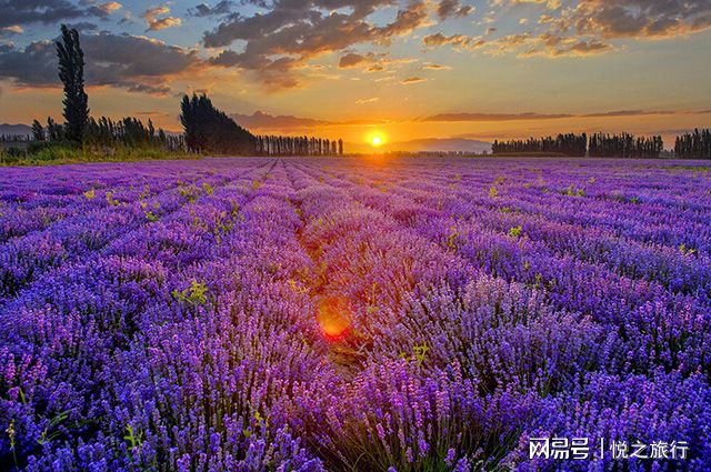 蓬莱酒店_蓬莱_蓬莱鬼话