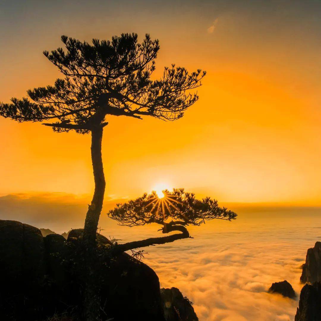 (黄山)飘渺、怪石、云海、温泉——黄山(图2) 迎客松香烟:_香烟迎客松_迎客松香烟价格回味