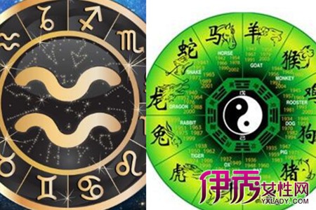 水瓶座最佳配对星座_星座配对_双子最佳配对星座