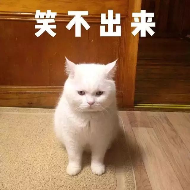 2024年2月28日-29日山东省最新天气情况