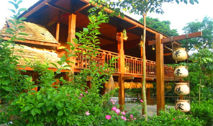 西双版纳旅游景点有哪些?西双版纳热带植物园怎么样?(图3) 西双版纳民宿_西双版纳攻略_西双版纳