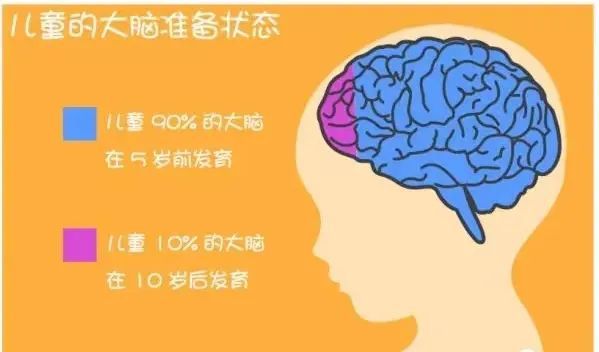 洞察：_洞察秋毫_洞察秋毫的意思