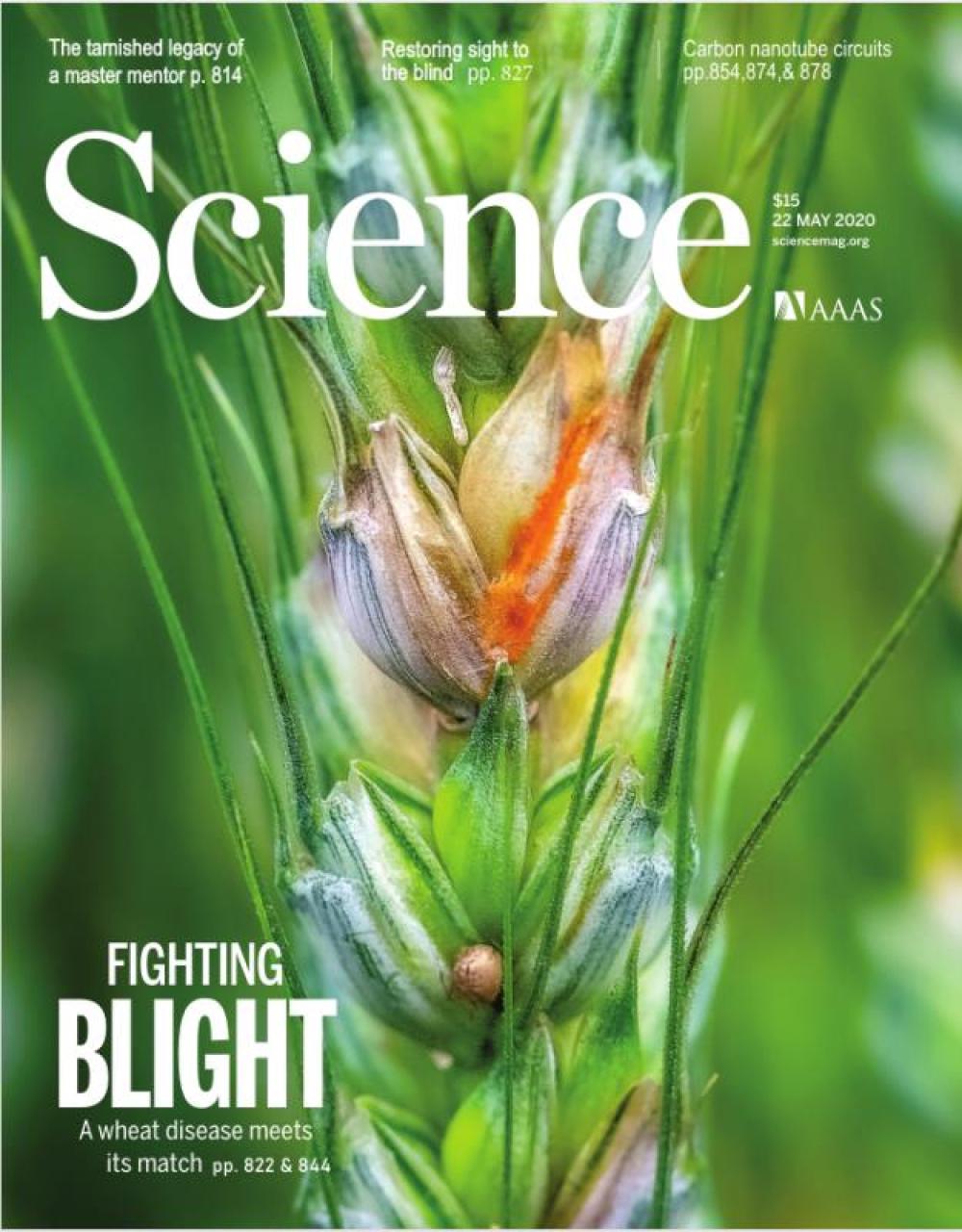 国外新闻_国外新闻媒体_时政新闻国外