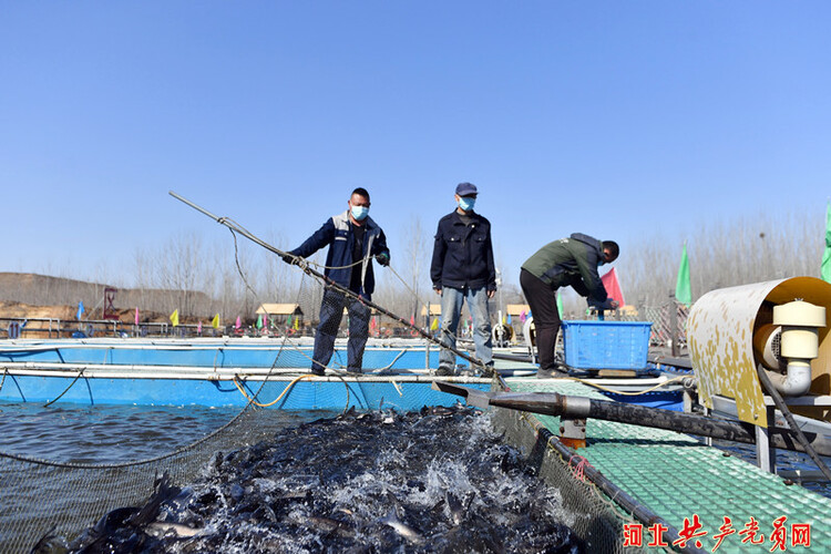 市迁安市天气_迁安燕钢到迁安政府_迁安市