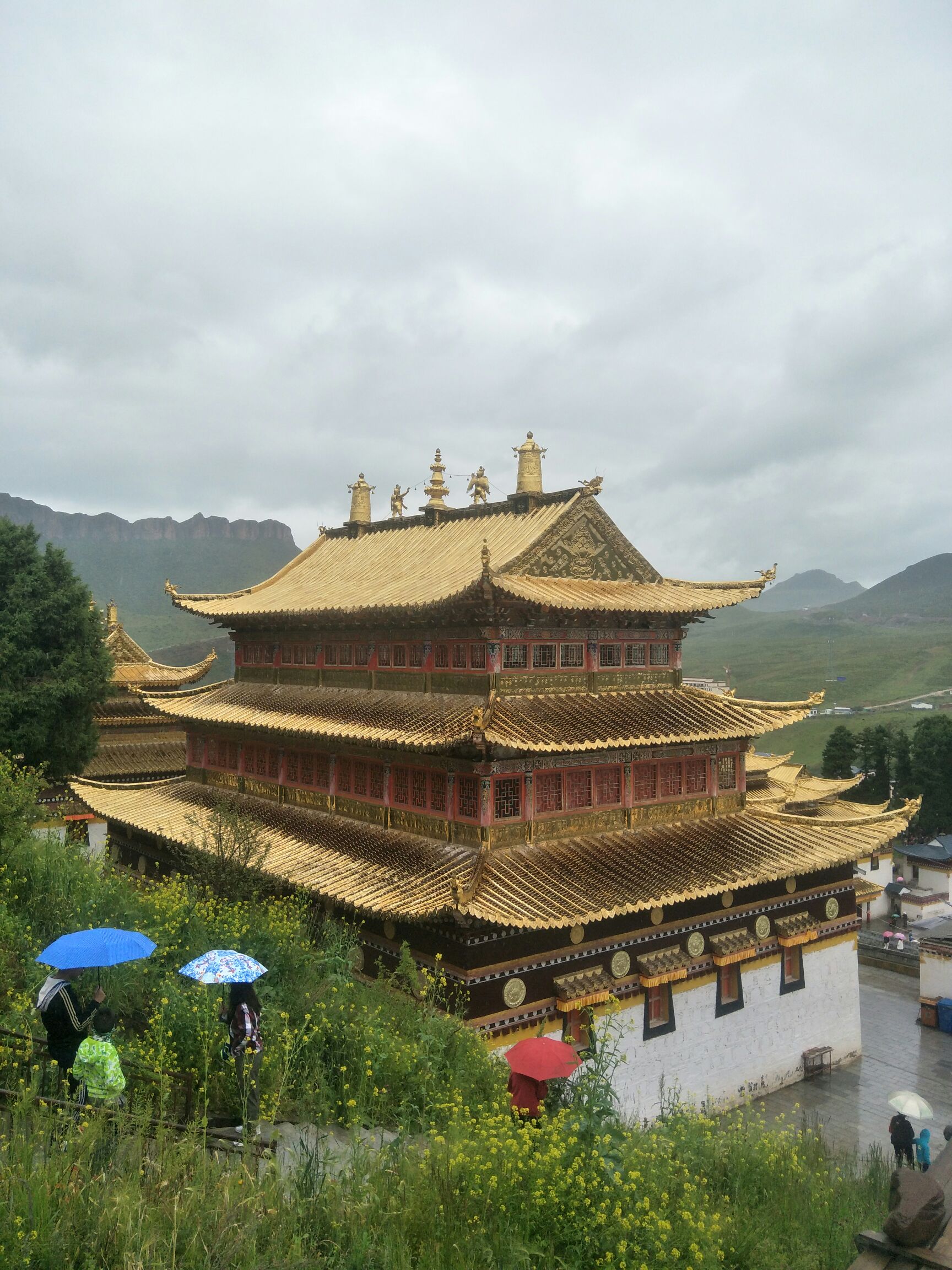 甘南旅游必去景点_甘南_甘南新闻