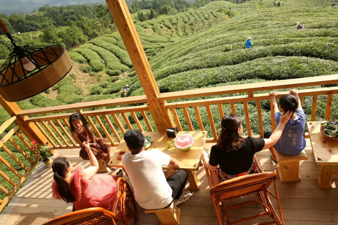 海南白沙:“陨坑茶”助推茶旅融合发展(图2) 白沙_白沙参_白沙古镇