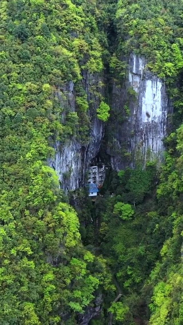 武夷山_武夷山在哪个省_武夷山酒店