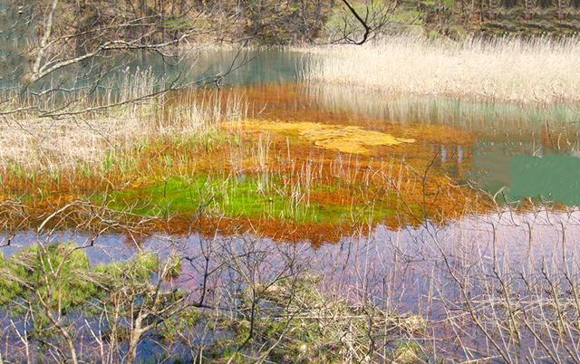 (蒙古记忆)玉树隆宝国家级自然保护区介绍(图1) 玉树盆景_玉树机场_玉树