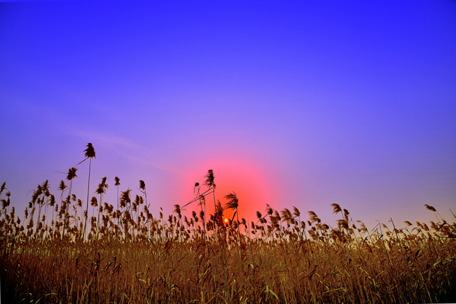 免费停车芜湖马拉松官宣_免费咨询眼科医生_免费：