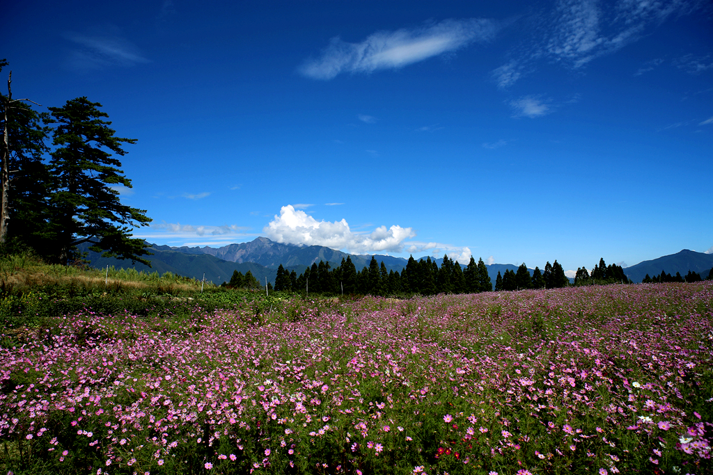 惠州_惠州银龙与深圳美好创亿_惠州天气