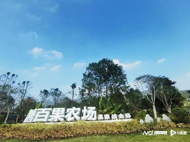 惠州银龙与深圳美好创亿_惠州_惠州天气