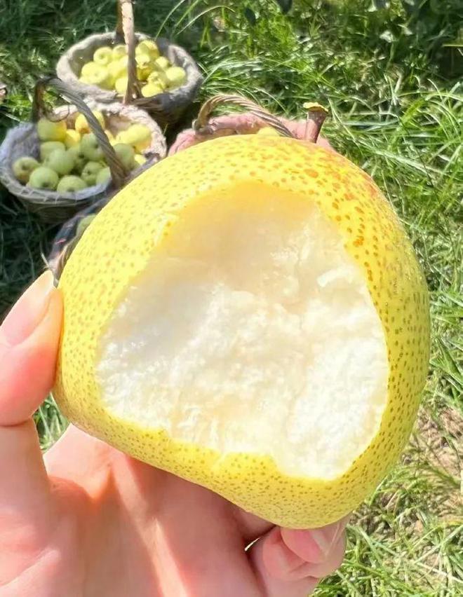 老汝州地区的传统小吃,你吃过几种?(图2) 汝州吧汝州贴吧_汝州天气_汝州