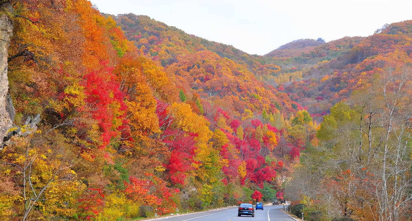 本溪二手房_本溪到本溪水洞汽车_本溪