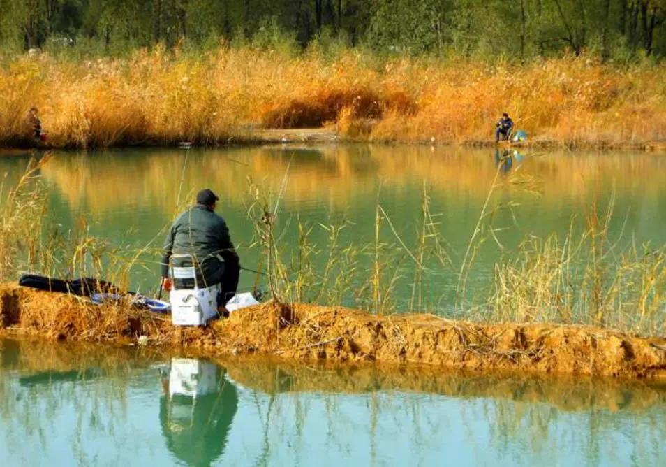 应聘简历表格个人简历_应聘求职_应聘：