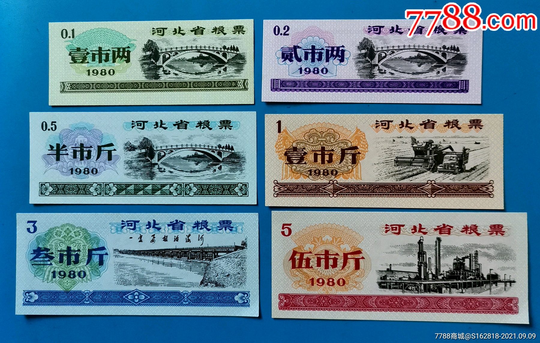 推荐一本好书及理由_推荐小说_推荐：