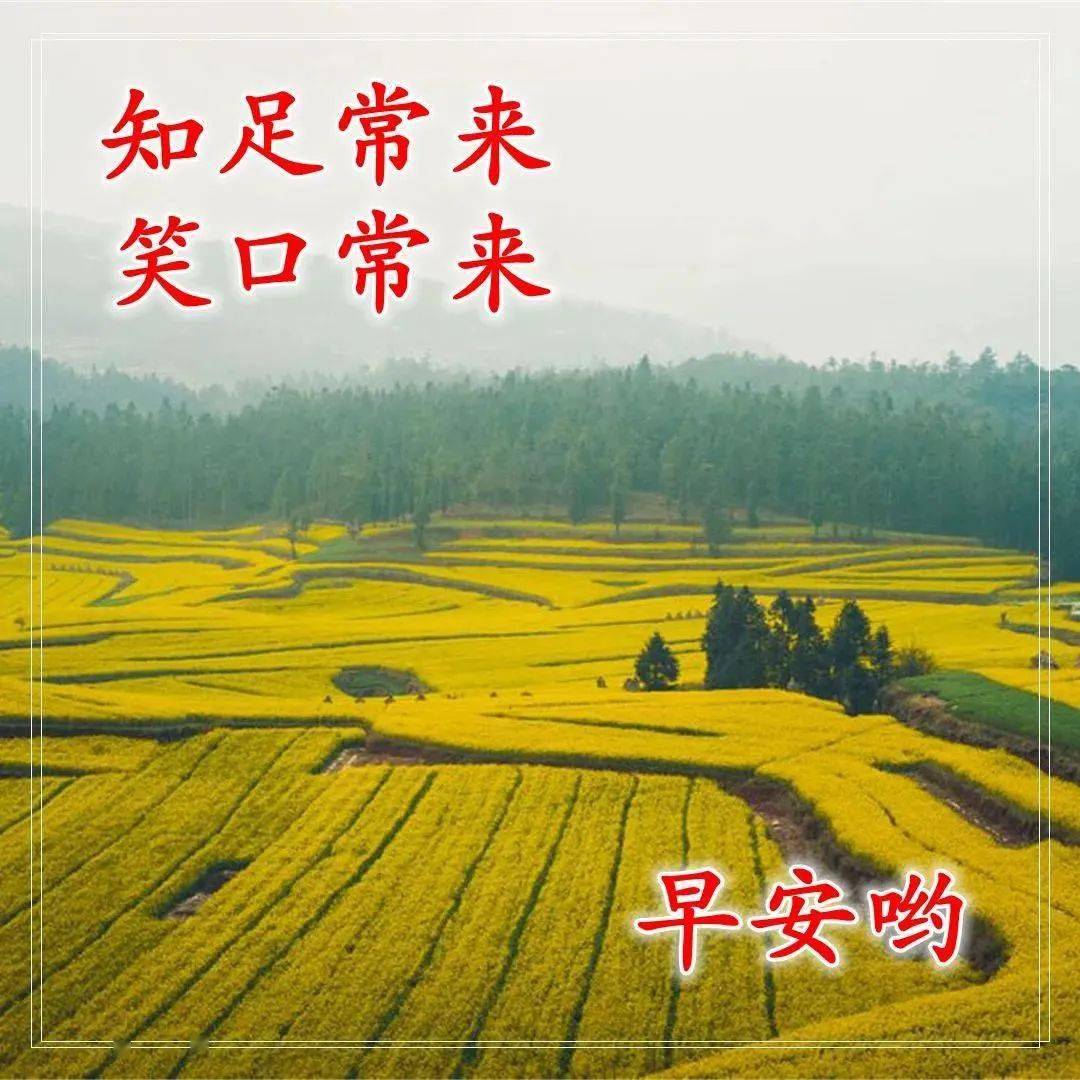 聪明的女人情入咽喉，愚人为情所困，不入爱河