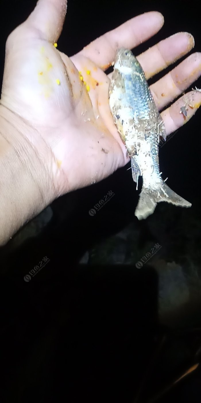 荣成景点_荣成五中吧_荣成