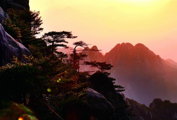 黄山怪石和黄山奇松_黄山黄山的诗句_黄山