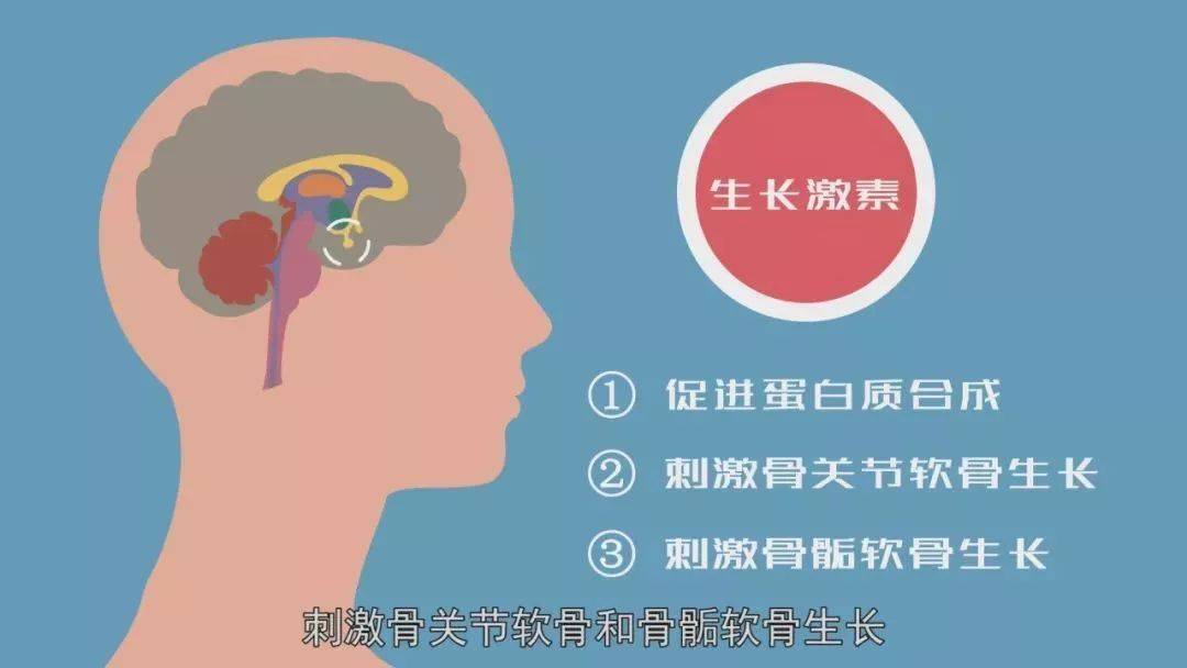 女性30~40岁是假性衰老，而是假性近视眼一样