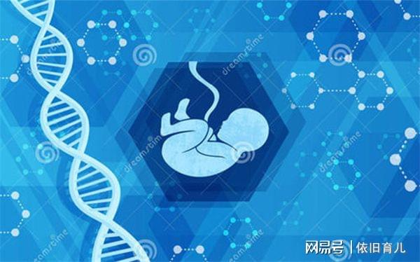 不孕不育的遗传因素有哪些？什么是辅助生殖技术