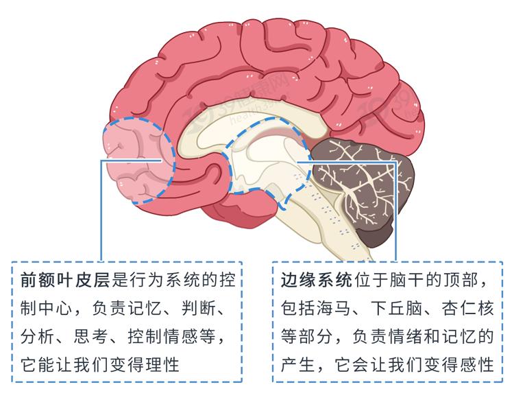 研究发现英语_研究发现：_研究发现：