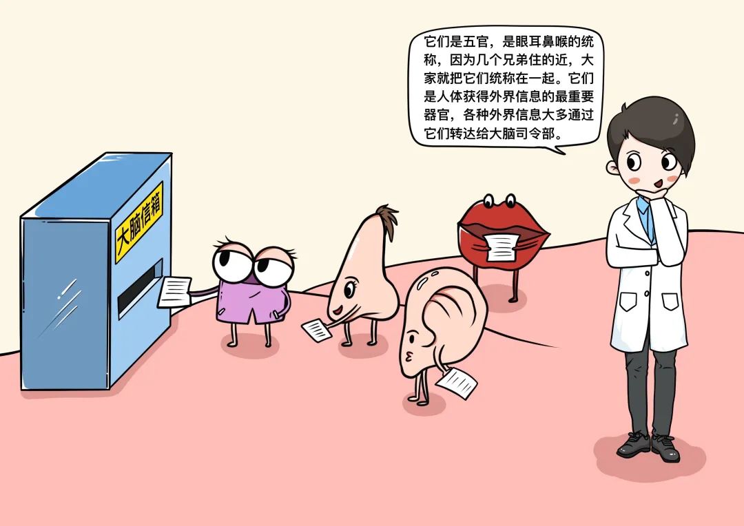 医疗器械展会2024列表_医疗_医疗器械经营许可证