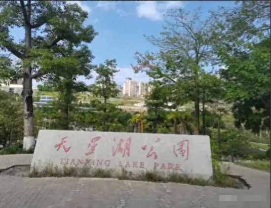 运输交通管理局电话_运输交通英语_交通运输