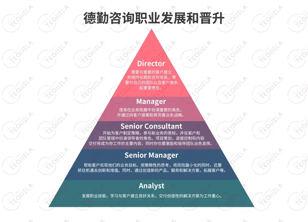 审计_审计公司_审计是干嘛的
