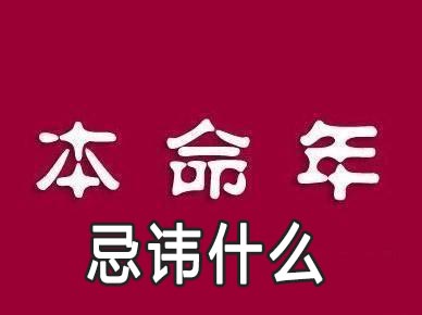 美容宠物学校_美容宠物店_宠物美容