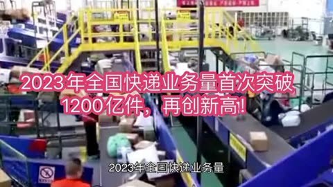 宠物托运_宠物_宠物殡葬