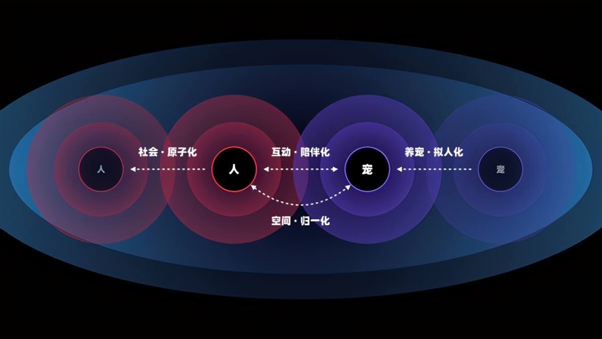 宠物救助站领养宠物_天天爱消除宠物宠物_宠物
