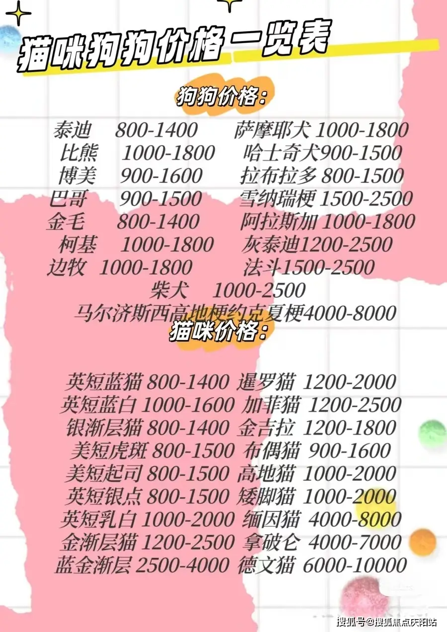 南昌多家宠物店“年夜饭”服务升温