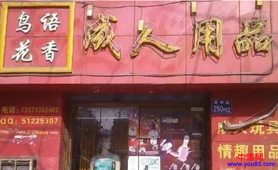 宠物美容_美容宠物师_美容宠物店