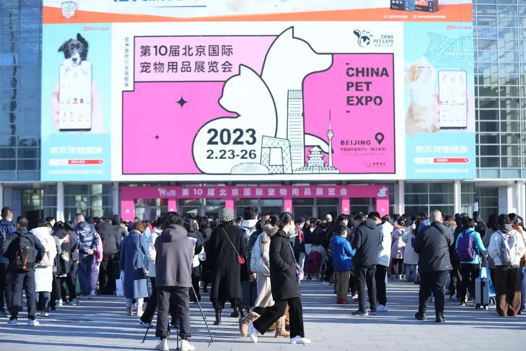 宠物美容_美容宠物店_美容宠物师