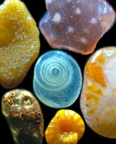 30个绚丽多彩的矿物世界,你知道几个?(图3) 无限宝石灵魂宝石_宝石:_无限宝石自我宝石