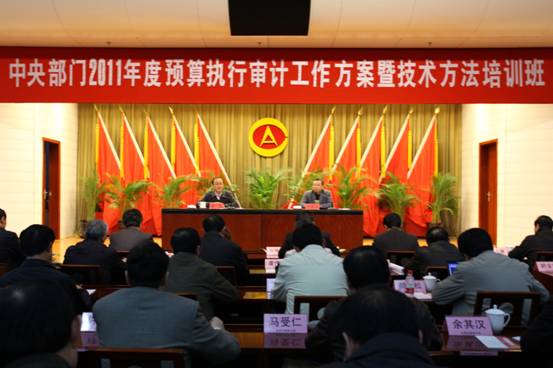 如何创新和发展预算执行审计提供了新的思路？