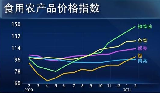 年国际粮食价格持续上涨，明年哪个价格会上涨？