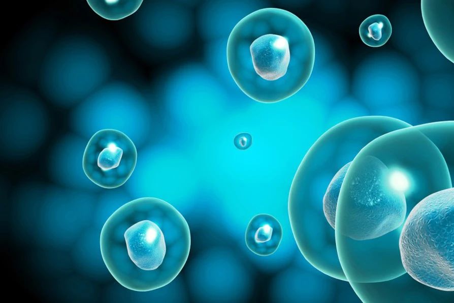 研究发现:年轻人正在加速衰老,你知道吗?(图3) 研究发现存在着同性恋基因对吗_研究发现的同义词_研究发现: