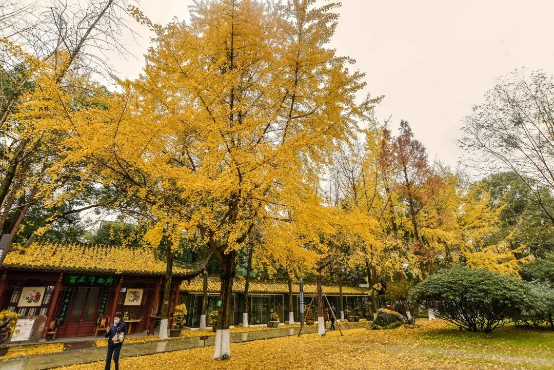 会展中心今天有什么展会_会展_会展ppt