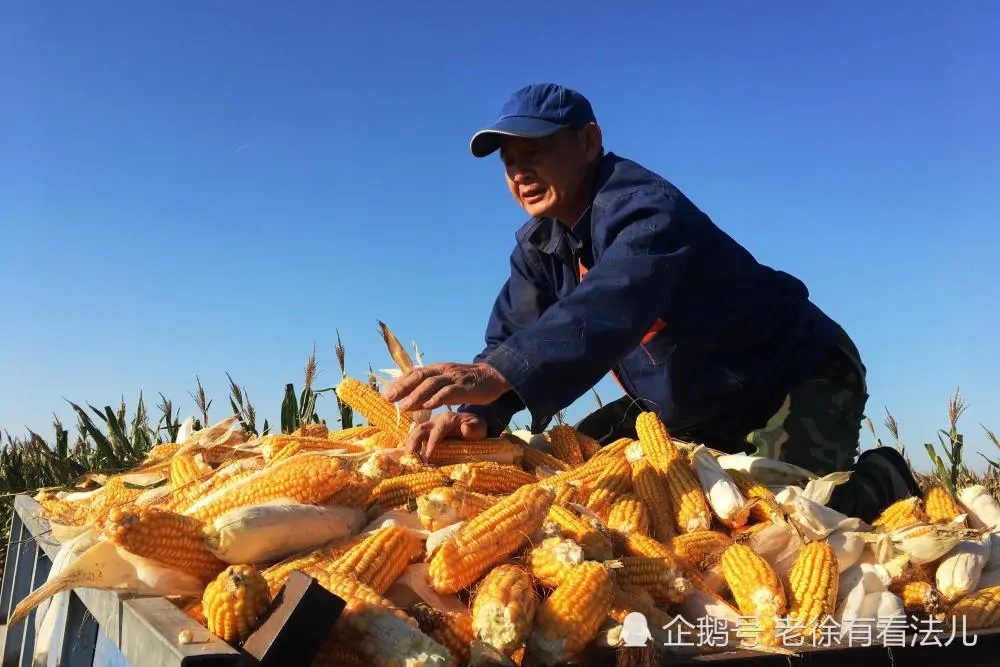 惨烈车祸现场照片_惨烈是什么意思_惨烈
