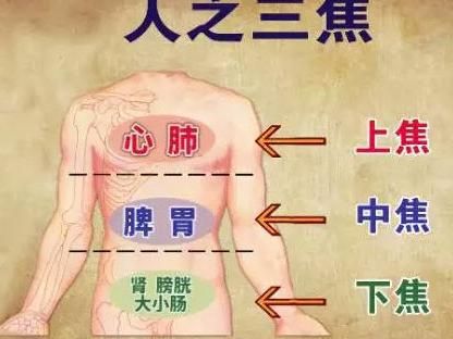 风水堂:内脏气血盛衰变化的方法(图2) 中医_中医_中医治肿瘤全国排名第一