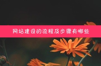 网站建设_网站建设与网页设计制作_网站建设平台